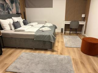 Z8 Prémium Apartman - 9