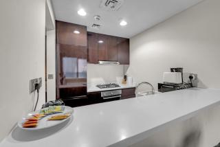 Lavish Apartment in Dubai - 1