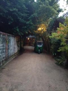 Surf Kin Garden Inn - 6