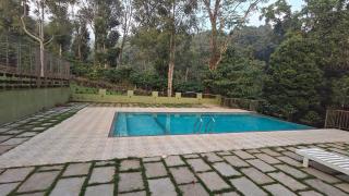 The Lavender Woods - 9