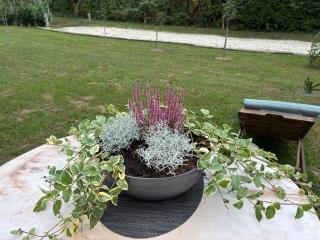 Ruralna kuća za odmor Marija - 2