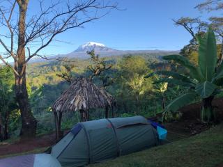 Twende Africa Tours - 0