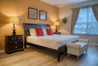 Luxury Lake View Condo-Vista Cay - 5