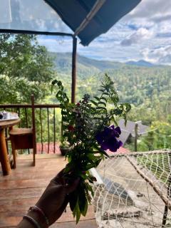 Ella Soul Nest Glamping Tent for Nature Lovers - 3