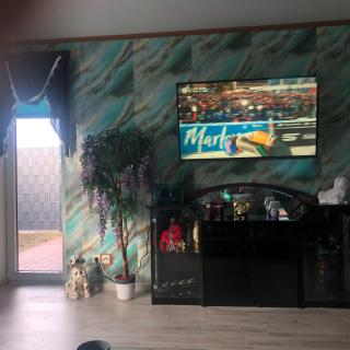 Exclusive Ferienwohnung Bad Nenndorf - 1