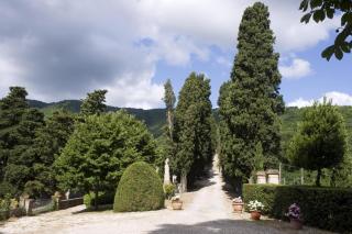 Villa Panzano-Barberino di Mugello - 7