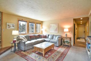 Park Place Mount Massive Condo: Ski-in, Prime Location - 2