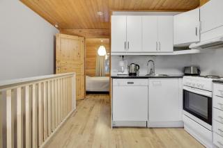 Pyhäkoti C - 30 Metres From the Slopes - 1