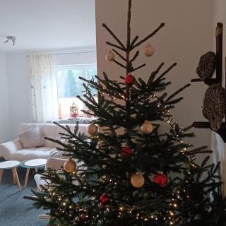 Ferienwohnung Landliebe - 9