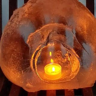 Arctic River Chalet - 3