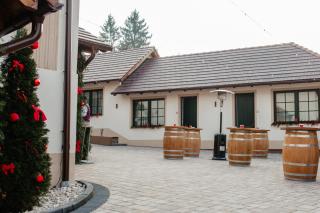 Pensiunea Draser - 7