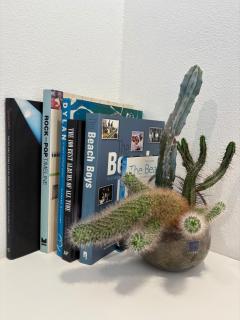 The Herring Below - 6