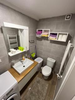 Modern Apartment nearby downtown & peaceful forest park - 6