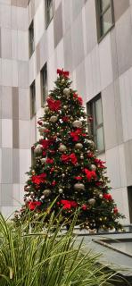 EST Grand Hotel Savoy - 8