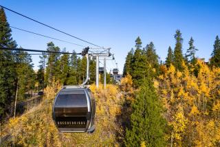 Park Place Mount Massive Condo: Ski-in, Prime Location - 3