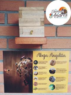 La Quinta de Andrés - 8