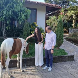 La Quinta de Andrés - 6