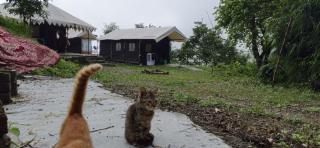 My New Life Yoga Retreat Center - 6