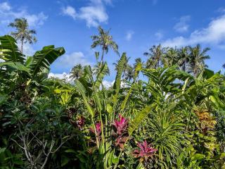 Garden Retreat Villa - 5min walk to Beach, Fiber internet - 5