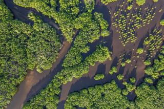 Garden Retreat Villa - 5min walk to Beach, Fiber internet - 3