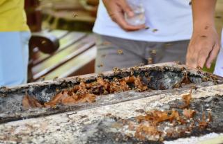 Vale das Rainhas - 5