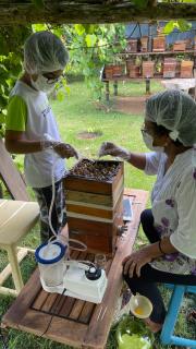 Vale das Rainhas - 4