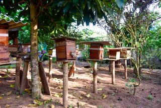 Vale das Rainhas - 3