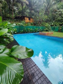 Ponkunnu Farmstay and Resorts - Emerald - The Tree House - Ground Floor - 7