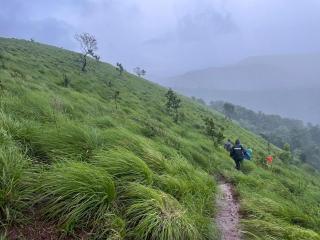 Ponkunnu Farmstay and Resorts - 4