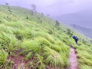 Ponkunnu Farmstay and Resorts - 2