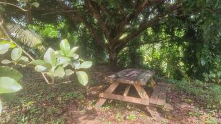 Domaine d'Éden Home & Cottage-Accès Rivière - 2