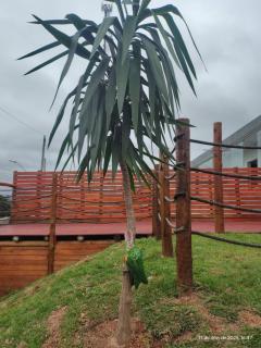 Casa com piscina, aconchegante, aceita pet - 1