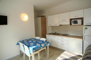 Conchiglie - Lignano Sabbiadoro - 7