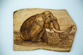 Bridge Front Inn Ella - 6