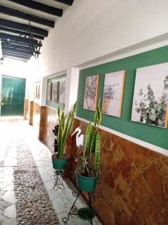 Aparta Hotel Eucalyptus - 1