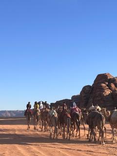 Desert Life Camp Wadi Rum - 5