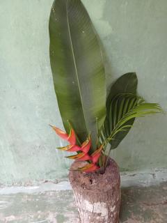 Cantinho Odivelense - 9