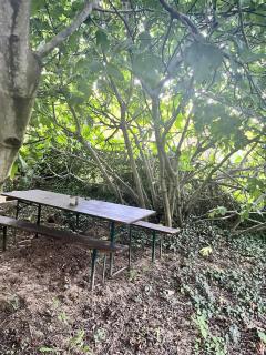 Menyecske Guesthouse - 7