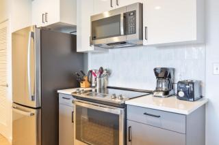 Bright Apartment in the Heart of Cambridge Walk Everywhere - 8