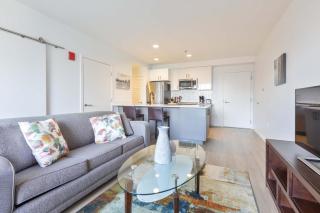 Bright Apartment in the Heart of Cambridge Walk Everywhere - 4