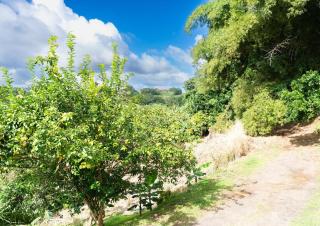 Bel La Vi Apartment - 7