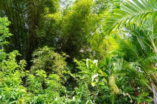 Bel La Vi Apartment - 6