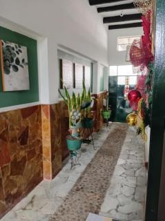 Apartamento Eucalyptus - 4