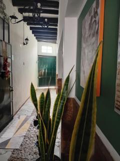 Apartamento Eucalyptus - 4