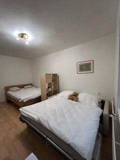 Apartmán Riegrova - 8