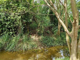 Log Cabin Retreat - 8