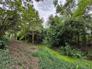 Log Cabin Retreat - 2