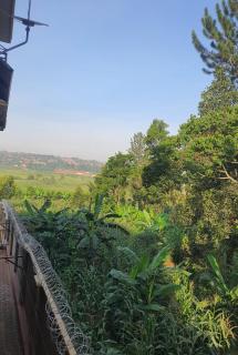 Serene Joyful Spaces - 8