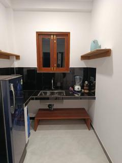 Hasaral Holiday inn new - 1