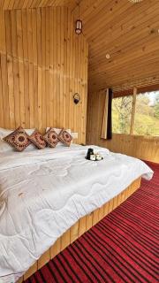 Cedarhaven cottage jibhi - 5